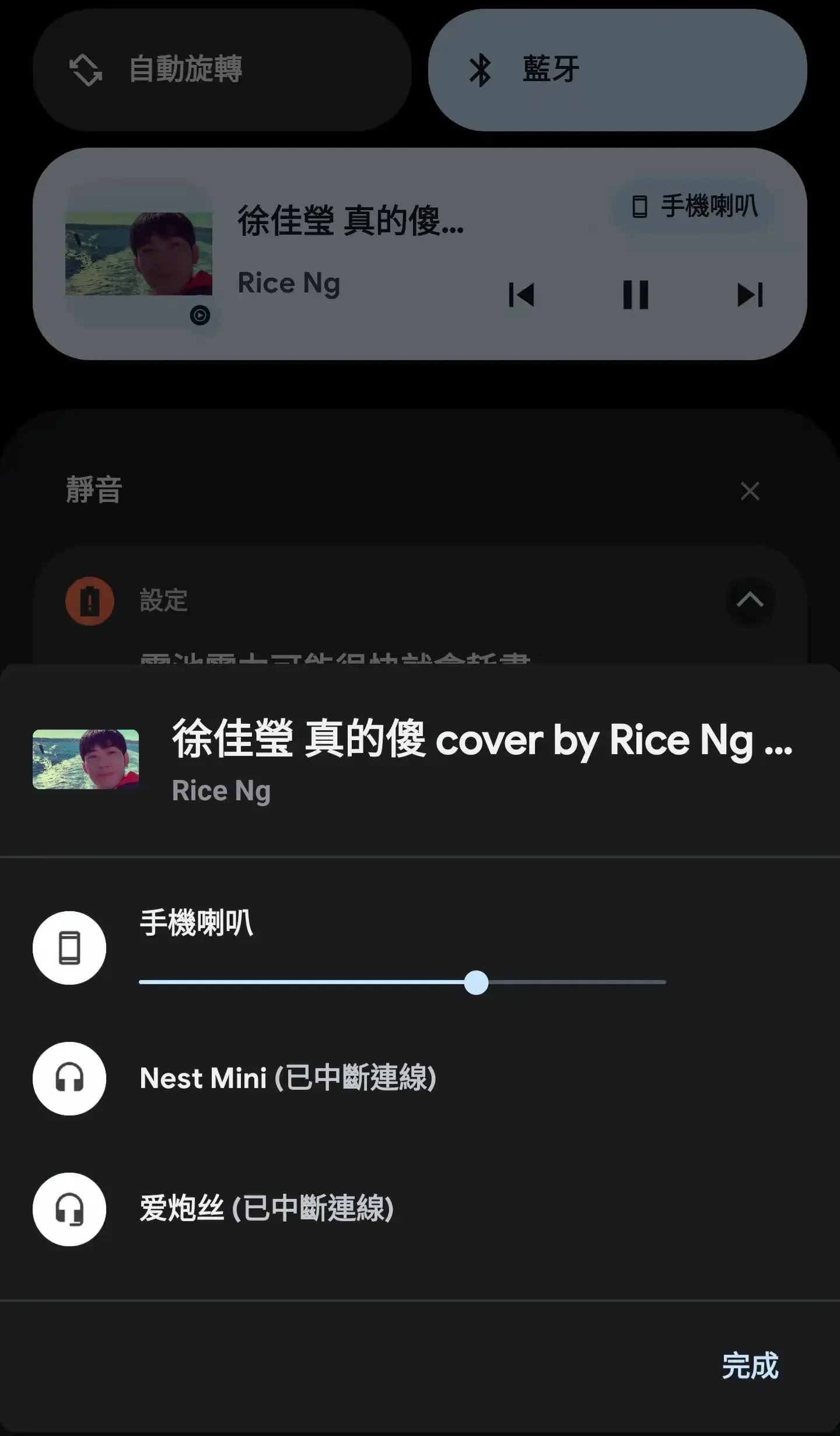 谷歌音箱Nest Mini常见问题及使用技巧 - 配图8